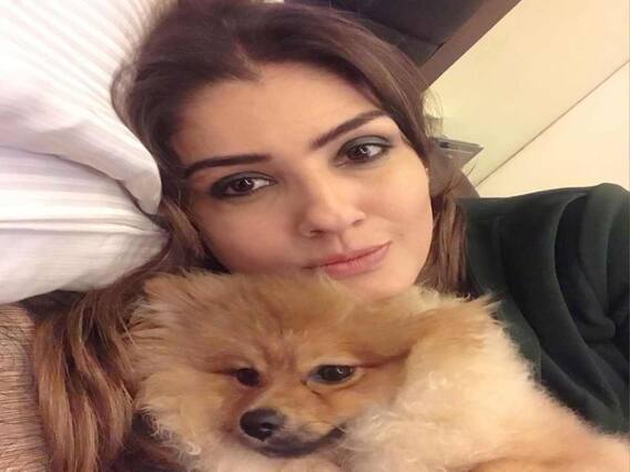 Raveena Tandon Photos: కేజీఎఫ్ 2 పవర్ ఫుల్ లేడీ అస్సలు తగ్గట్లేదుగా Raveena Tandon Photos: కేజీఎఫ్ 2 పవర్ ఫుల్ లేడీ అస్సలు తగ్గట్లేదుగా