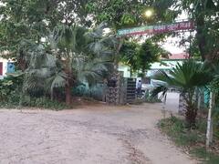 Bareilly News: पीलीभीत टाइगर रिजर्व ने खेत में घूम रहे भालू को पकड़ा, दहशत के साए में जी रहे थे ग्रामीण