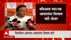 Ashish Shelar : शिवसेनेच्या संजय पवारांचा पराभव होईल, मविआला स्वत:च्या आमदारांवर विश्वास नाही