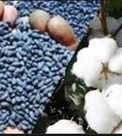 शेतकऱ्यांची खते, बी बियाणे खरेदीसाठी लगबग सुरु