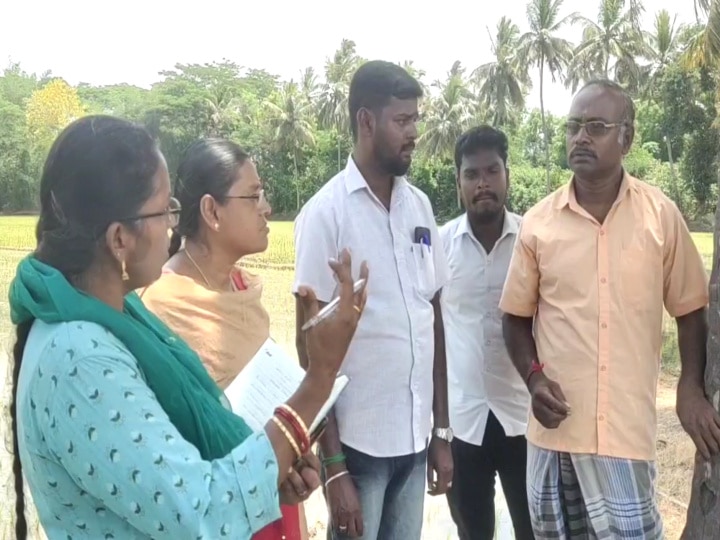 மாத்திரை முறையில் குறுவை சாகுபடி... மயிலாடுதுறையில் உருமாறிய விவசாய முறை!