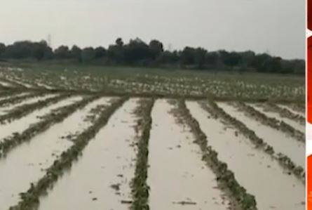 દક્ષિણ ગુજરાત અને સૌરાષ્ટ્રમાં વરસાદ, જાણો હવામાન વિભાગે શું કરી આગાહી