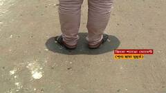 Zero Shadow Day: মাত্র কয়েক মিনিট, শহর থেকে গায়েব হল ছায়া, অলৌকিক নয়, বৈজ্ঞানিক ঘটনা