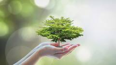 World Environment Day 2022: 'ধরণী সুস্থ হও', বিশ্ব পরিবেশ দিবসে সব ঠিক করে দেওয়ার অঙ্গীকার