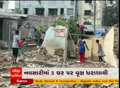 નવસારી: દાંડીવાડમાં ઝાડ પડતાં ત્રણથી વધુ ઘરોને નુકશાન