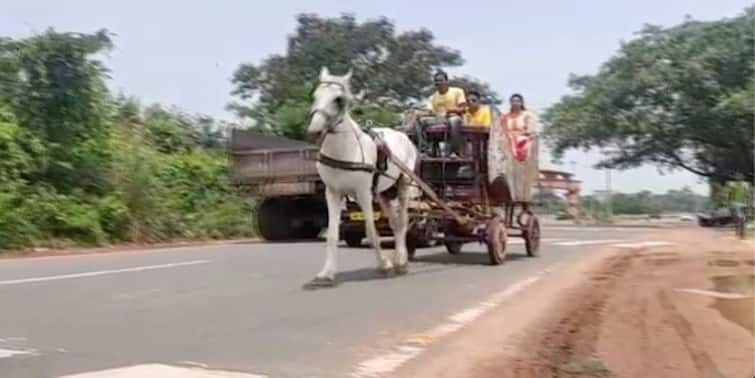 Jamaisashi Special: jamaisasthi with innovative way at bishnupur, know in details Jamaisasthi Special: ঐতিহাসিক নগরে জামাই এলো ঘোড়ার গাড়ি চড়ে