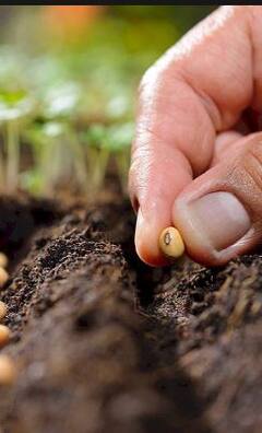 शेतकऱ्यांची खते, बी बियाणे खरेदीसाठी लगबग सुरु