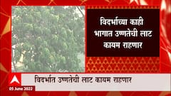 Monsoon 2022 : मेघगर्जनेसह मान्सूनपूर्व सरी, भारतीय हवामान खात्याचा अंदाज ABP Majha