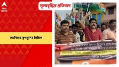 Canning: ক্যানিং পূর্বের বিধায়ক সওকত মোল্লার নেতৃত্বে জীবনতলা বাজার থেকে সদানন্দের মোড় পর্যন্ত প্রায় ৫ কিলোমিটার রাস্তা মিছিল করেন তৃণমূল কর্মী, সমর্থকরা