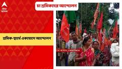 Tea workers movement: চা শ্রমিকদের দাবি আদায়ে একযোগে আন্দোলনে তৃণমূল, বিজেপি ও সিপিএমের শ্রমিক সংগঠনের