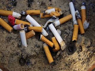 Quit Smoking App: ধূমপান ছাড়তে চান ? এই AI-ভিত্তিক অ্যাপ করবে সাহায্য