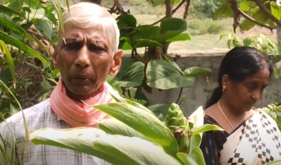 Mokkala Venkataiah Inspiring Story : భగభగ మండే ఊళ్లో...అందాల బృందావనం సృష్టికర్త | ABP Desam