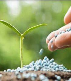 शेतकऱ्यांची खते, बी बियाणे खरेदीसाठी लगबग सुरु