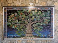 Most Of Our Evolutionary Trees Could Be Misleading, UK Study Suggests