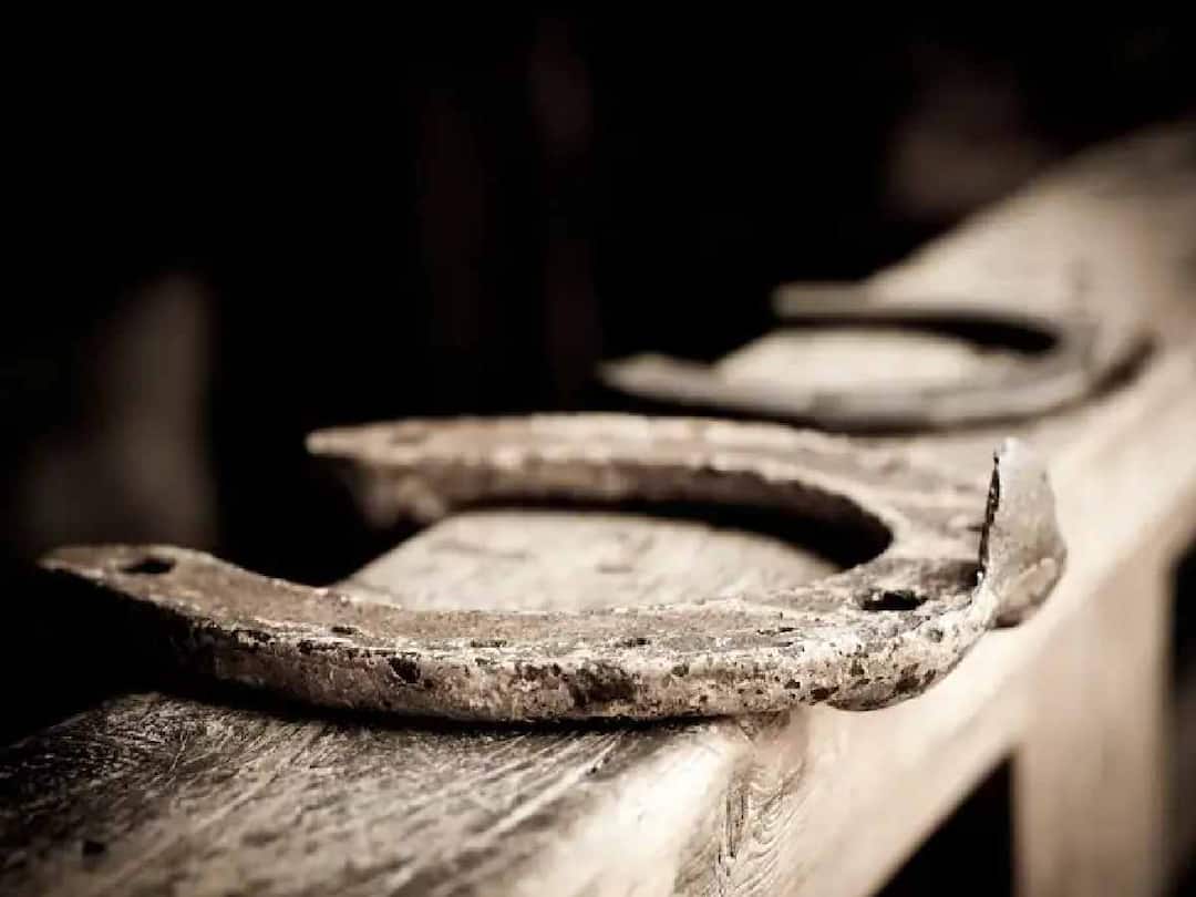 Horseshoe Benefits : घोड्याची नाल बदलू शकते तुमचे आयुष्य, जाणून घ्या त्याचे फायदे Horseshoe can change your life, learn its benefits Horseshoe Benefits : घोड्याची नाल बदलू शकते तुमचे आयुष्य, जाणून घ्या त्याचे फायदे