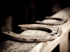Horseshoe Benefits : घोड्याची नाल बदलू शकते तुमचे आयुष्य, जाणून घ्या त्याचे फायदे