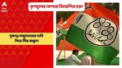 Sukanta on Spy Issue: তৃণমূলের অন্দরেও বিজেপির চর? সুকান্ত মজুমদারের দাবি ঘিরে তীব্র জল্পনা | Bangla News