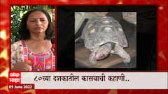 Red-footed Manuela Turtle: ब्राझीलमधील रेड फुटेड मॅन्युएला कासव ABP Majha