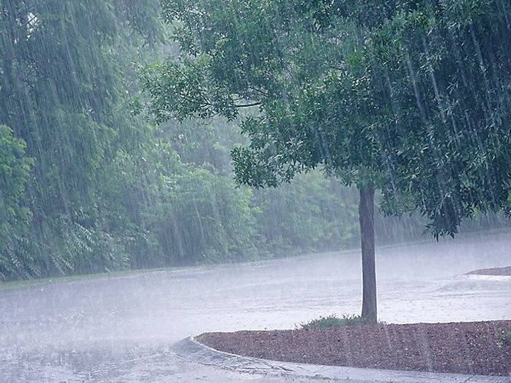 Tamil Nadu Weather Forecast June 6, 7 Chances of Heavy Rain Salem Dharmapuri Karur Namakkal Coimbatore- Chennai IMD TN Rain Alert:  மக்களே உஷார்..! ஜூன் 6, 7 ஆகிய தேதிகளில் வெளுக்கப்போகும் மழை...