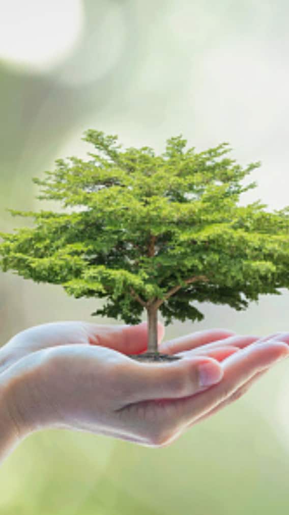 সেরে উঠুক পৃথিবী