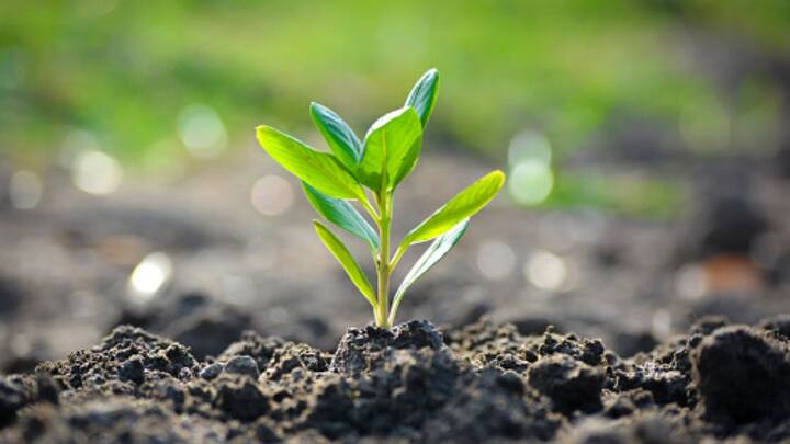 প্রতি বছর ৫ জুন দিনটি বিশ্ব পরিবেশ দিবস পালিত হয়। পরিবেশের করুণ অবস্থা সম্পর্কে মানুষকে সচেতন করতে, পরিবেশ রক্ষায় সার্বিক সহযোগিতা গড়ে তুলতেই এই দিনটি পালন করা হয়।