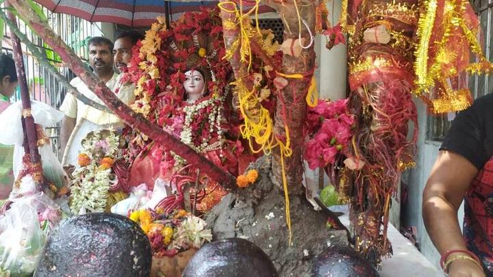 রবিবার সেই ছবি নিজের ফেসবুক প্রোফাইলে শেয়ার করেছেন বৈশাখী (Baisakhi Sovan Banerjee) নিজেই। আর সব কিছুর জন্য ধন্যবাদ জানিয়েছেন মাকে।