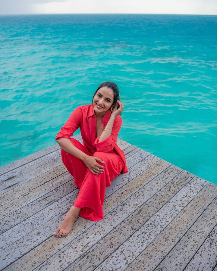 જાસ્મિનના વર્ક ફ્રન્ટ વિશે વાત કરીએ તો, તેની પાસે આ દિવસોમાં ઘણા ટીવી શો ઉપરાંત મ્યુઝિક વીડિયોની ઑફર્સ છે.