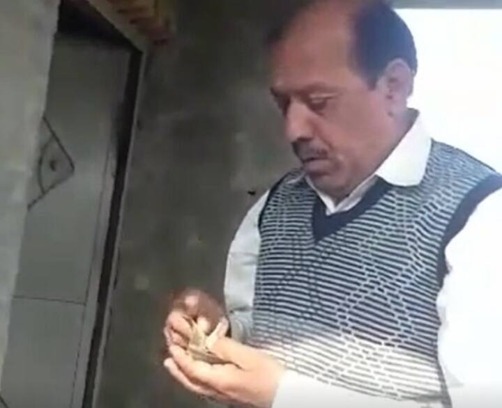 Sambhal News: संभल में रिश्वत लेते पकड़ा गया राजस्व निरीक्षक, वीडियो वायरल होने के बाद SDM ने दिए जांच के निर्देश Sambhal News Video viral of Revenue Inspector taking bribe in Sambhal ANN Sambhal News: संभल में रिश्वत लेते पकड़ा गया राजस्व निरीक्षक, वीडियो वायरल होने के बाद SDM ने दिए जांच के निर्देश