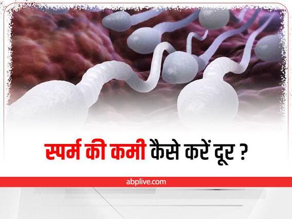 Diet for Low Sperm Count: स्पर्म की कमी और क्वालिटी बढ़ाने के लिए खाएं ये हेल्दी चीजें Diet for Low Sperm Count: स्पर्म की कमी और क्वालिटी बढ़ाने के लिए खाएं ये हेल्दी चीजें