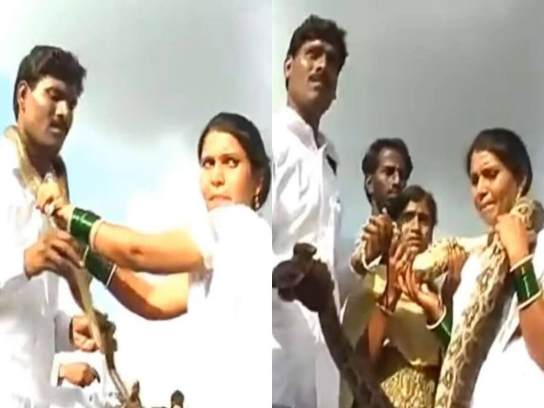 Watch Viral Video : పాము దండలు మార్చుకుని పెళ్లి చేసుకున్న కొత్త జంట - వైరల్ వీడియో Viral Video Watch Maharashtra Couple exchanges snake garlands in wedding celebrations Watch Viral Video : పాము దండలు మార్చుకుని పెళ్లి చేసుకున్న కొత్త జంట - వైరల్ వీడియో
