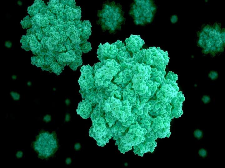 Norovirus: துரத்தும் தொற்று.. பரவத் தொடங்கியது புதிய வகை கொடிய வைரஸ்.. உஷார் மக்களே.. Norovirus cases reported in kerala Check Symptoms, precautions 5-point guide to Norovirus infection Norovirus: துரத்தும் தொற்று.. பரவத் தொடங்கியது புதிய வகை கொடிய வைரஸ்.. உஷார் மக்களே..