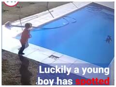 Watch Bravery: कुत्ते को डूबता देख बच्चे ने भी लगाई छलांग, आगे जो हुआ देखकर आपके होश उड़ जायेंगे