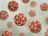Two Cases Of Norovirus Confirmed In Kerala — Know More About The Viral Disease Also Called 'Stomach Flu'