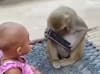 Viral Video : मोबाईलसाठी माकड आणि चिमुकलीमध्ये झटापट, पाहा पुढे काय झालं
