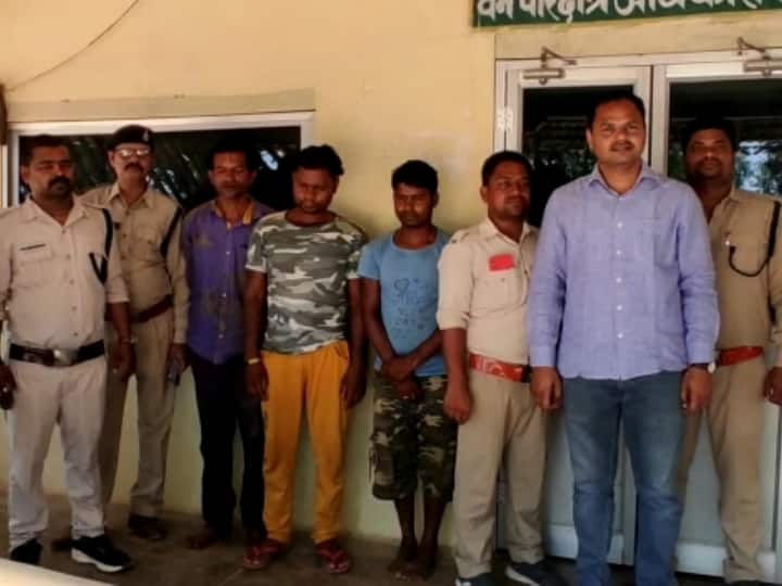 Gaurela-Pendra-Marwahi: वन विभाग ने जब्त की 20 लाख रुपए की चंदन की लकड़ी, तीन तस्कर चढ़े पुलिस के हत्थे Gaurela Pendra Marwahi Sandalwood worth rupee 20 lakh seized three smugglers caught by police ANN Gaurela-Pendra-Marwahi: वन विभाग ने जब्त की 20 लाख रुपए की चंदन की लकड़ी, तीन तस्कर चढ़े पुलिस के हत्थे