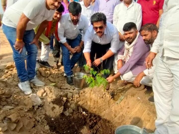 Gorakhpur Uttar Pradesh MP Ravikishan Shukla planted sapling on birthday of CM Yogi Adityanath ANN Gorakhpur: सीएम Yogi Adityanath के जन्मदिन पर सांसद रविकिशन ने लगाया पौधा, उनके काम को लेकर किया बड़ा दावा