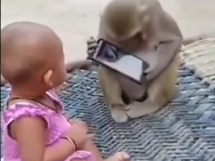 tussle between little girl and monkey over mobile phone Video Viral on Social Media Viral Video: फोन को लेकर छोटी बच्ची और बंदर के बीच हुई खींचतान, आप भी देखिए