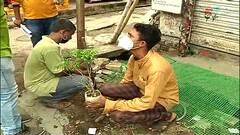 Paschim Medinipur : মুখ্যমন্ত্রীর বার্তার পর পদক্ষেপ, পশ্চিম মেদিনীপুরের সিল করা হল ৭০টি অবৈধ কাঠমিল