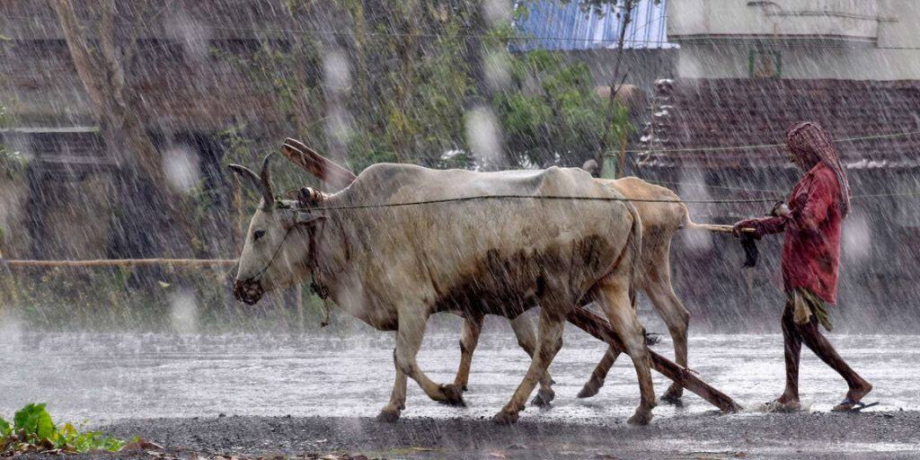 જેઠમાં અષાઢી માહોલઃ અમરેલીના સાવરકુંડલામાં પવન અને વીજળીના કડાકા સાથે વરસાદનું આગમન Rain with wind and lightning in Savarkundla taluka of Amreli District જેઠમાં અષાઢી માહોલઃ અમરેલીના સાવરકુંડલામાં પવન અને વીજળીના કડાકા સાથે વરસાદનું આગમન