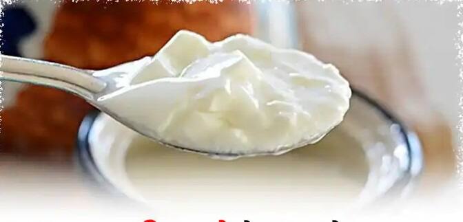 Curd Eating Tips: દહીં ખાવાની આયુર્વૈદિક વિધિ જાણી લો, આ રીતે સેવનથી થશે અનેક ફાયદા ayurvedic method to eat curd for good health Curd Eating Tips: દહીં ખાવાની આયુર્વૈદિક વિધિ જાણી લો, આ રીતે સેવનથી થશે અનેક ફાયદા