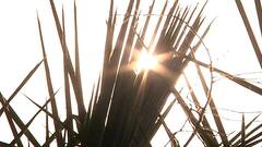 Weather Update: উত্তরবঙ্গে বর্ষণ চললেও দক্ষিণবঙ্গে এখনই নেই গরম থেকে স্বস্তি