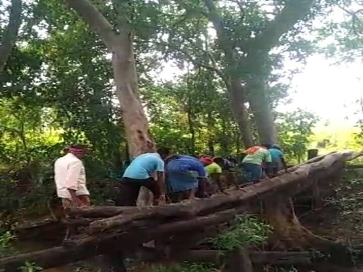 in this village villagers cross the wooden culvert risking their lives in narayanpur ann Narayanpur News: इस गांव में आज भी जान जोखिम में डालकर लकड़ी की पुलिया पार करते हैं ग्रामीण, सालों से कर रहे ये मांग