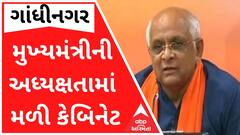 મુખ્યમંત્રીની અધ્યક્ષતામાં મળેલી કેબિનેટમાં કયા મુદ્દે કરાશે ચર્ચા? જુઓ વીડિયો
