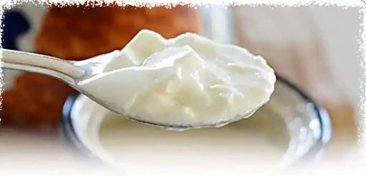 Curd Benefits For Health Curd Eating Tips know more here marathi news updates Curd Eating Tips : आयुर्वेदिक पद्धतीने दही खाल्ल्याने अनेक आजारांपासून बचाव होईल