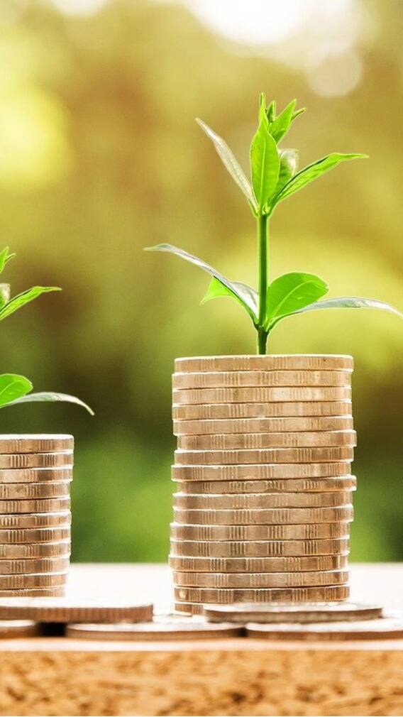 ফিক্সড ডিপোজিটে বেশি টাকা চান? কী করবেন?