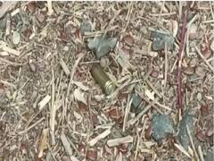 Pune Crime : शिरुर कोर्ट परिसरात माजी सैनिकाचा पत्नीसह सासूवर गोळीबार, पत्नीचा जागीच मृत्यू