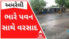 અમરેલી જિલ્લાના કેટલાક વિસ્તારમાં ભારે પવન સાથે વરસાદ, જુઓ વીડિયો
