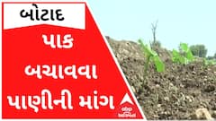 બોટાદના ખેડૂતઓે કેનાલમાં પાણી છોડવાની માંગ, પાક નિષ્ફળ જવાની ભીતિ