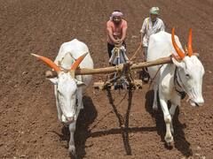 PM Kisan Status: હજુ સુધી નથી મળ્યા 2000 રૂપિયા, ફરીવાર ચેક કરો પીએમ કિસાન સ્ટેટસ