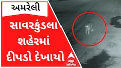 અમરેલીઃ સાવરકુંડલા શહેરમાં દીપડો દેખાતા લોકોમાં ભયનો માહોલ
